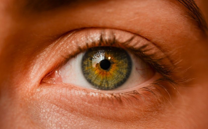 Oczy to nadzwyczajny organ. To dokładnie dzięki nim rozróżniamy.
